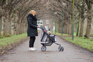 What Size Dog Wagon Do I Need? (UK Sizing Guide)