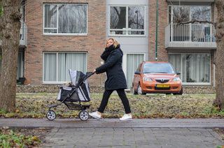 How to Train a Dog to Use a Dog Wagon or Dog Stroller