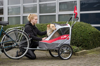 Why Quality Matters When Choosing a Dog Wagon