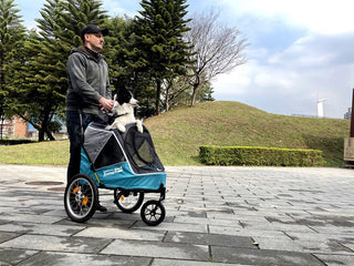 What’s in a Name? Dog Wagon, Dog Pram Dog Stroller or Dog Buggy Explained (UK Guide)