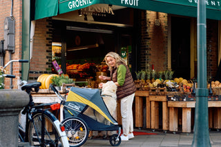 3 or 4 Wheel Dog Wagon? Solid vs Air-Filled Tyres Explained