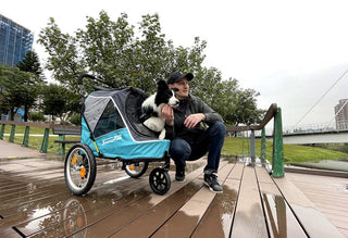 InnoPet Sporty Evolution